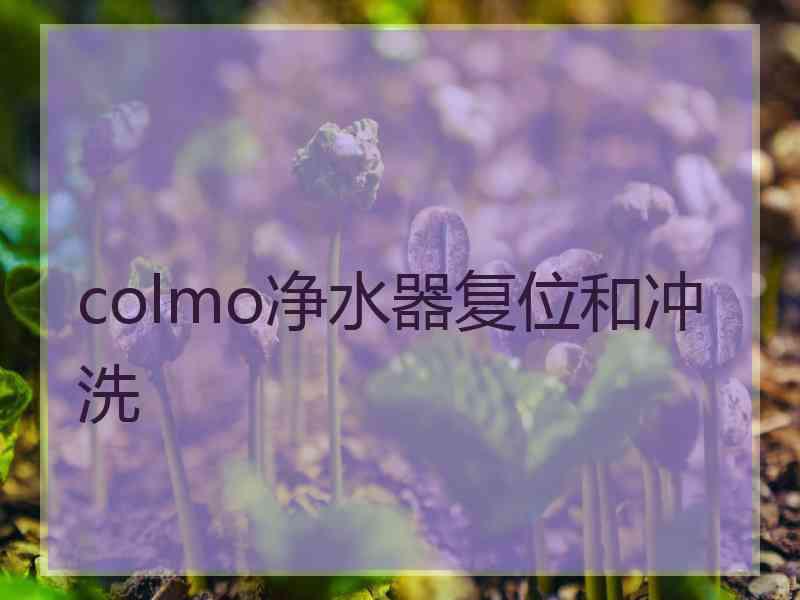 colmo净水器复位和冲洗