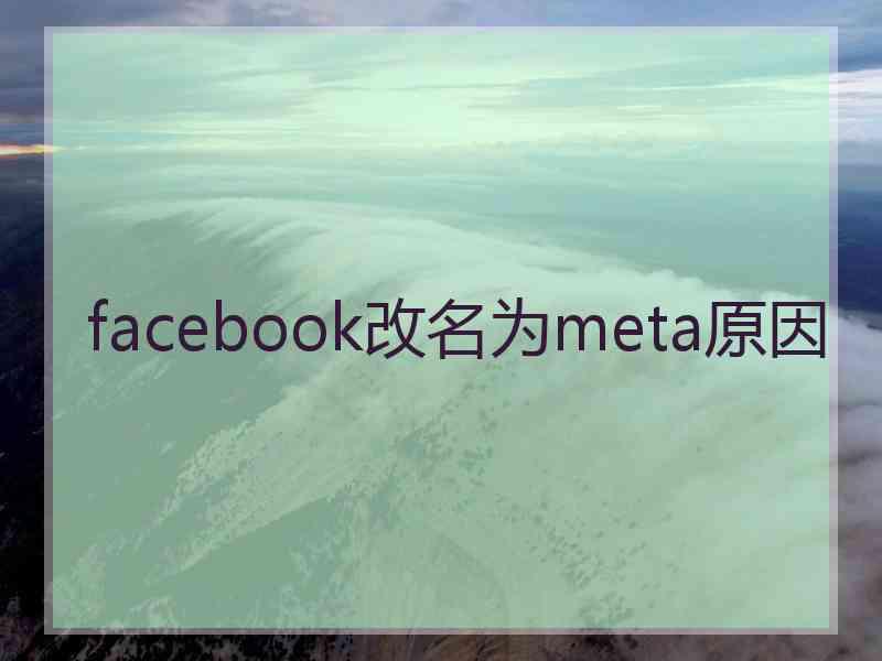 facebook改名为meta原因