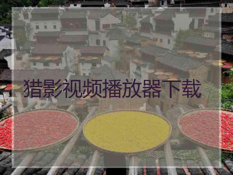 猎影视频播放器下载