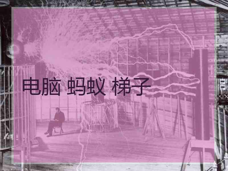 电脑 蚂蚁 梯子