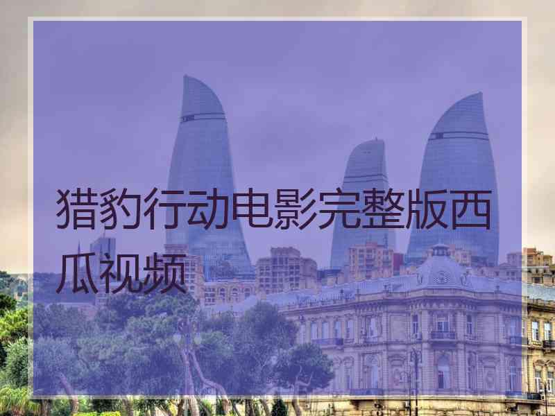猎豹行动电影完整版西瓜视频