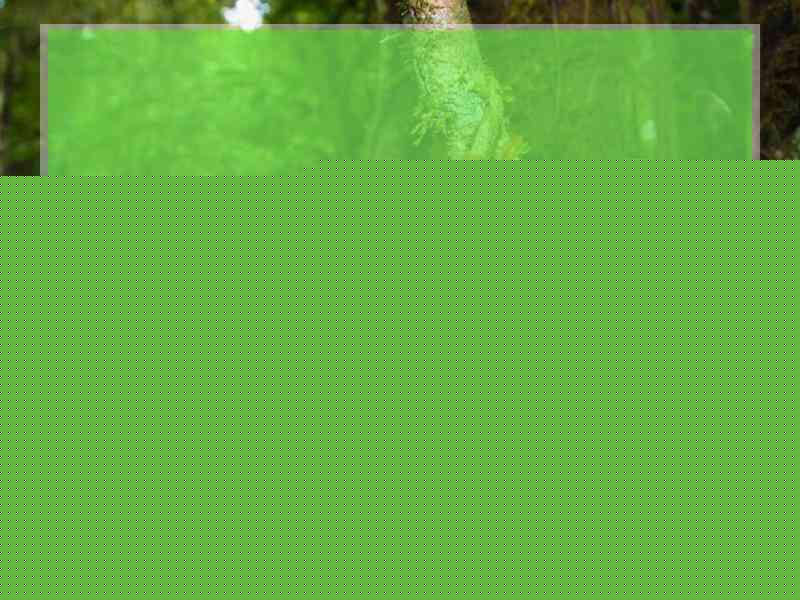 手机怎么登录中国人民银行征信网