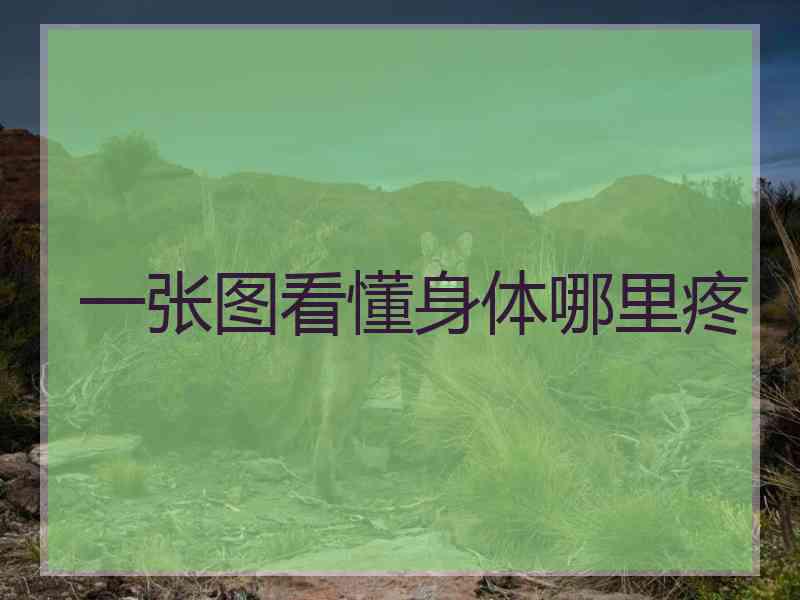 一张图看懂身体哪里疼