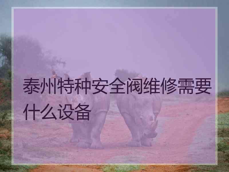 泰州特种安全阀维修需要什么设备