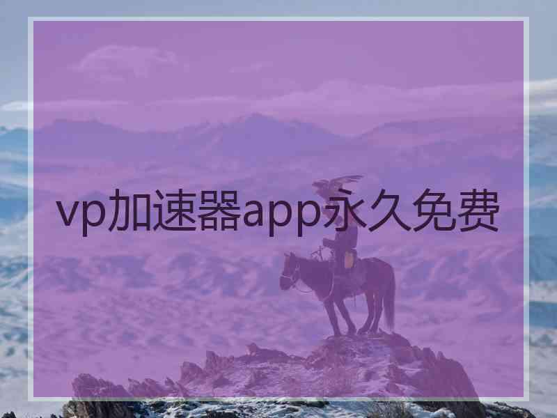vp加速器app永久免费