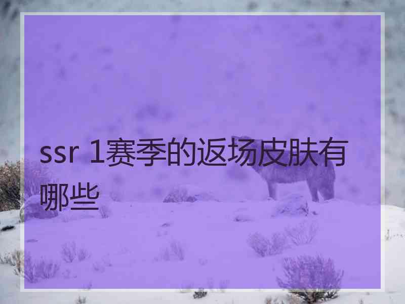 ssr 1赛季的返场皮肤有哪些