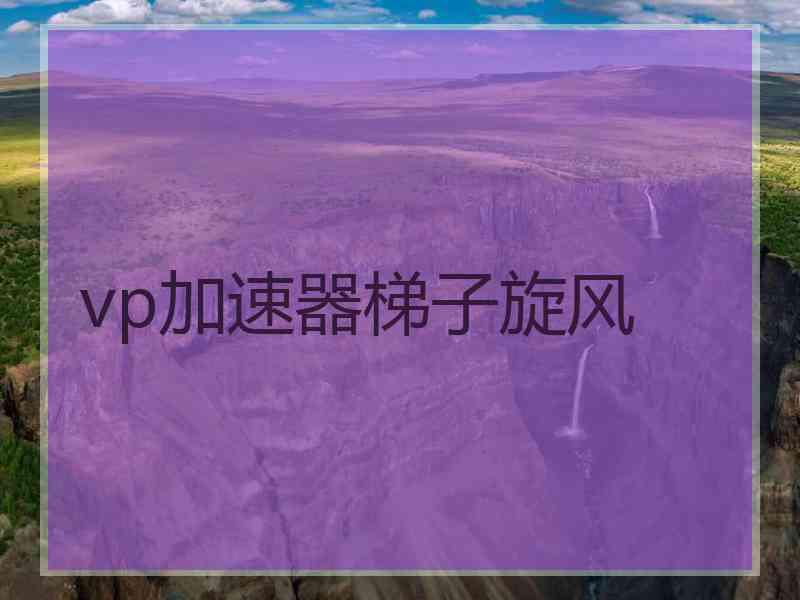 vp加速器梯子旋风