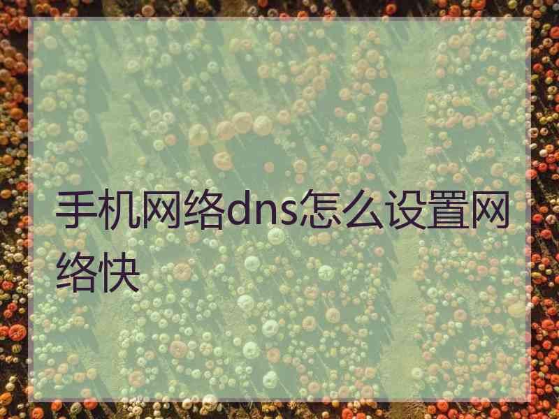 手机网络dns怎么设置网络快