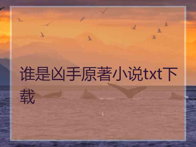 谁是凶手原著小说txt下载