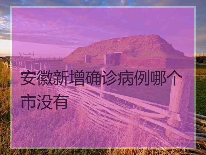 安徽新增确诊病例哪个市没有