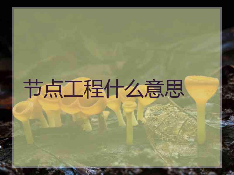 节点工程什么意思
