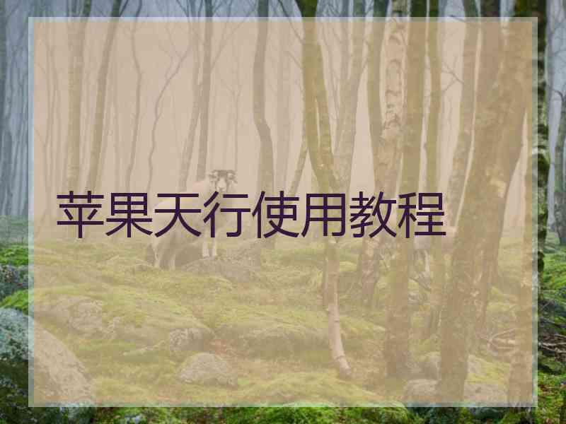 苹果天行使用教程