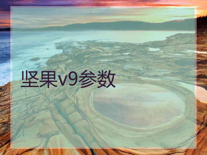 坚果v9参数