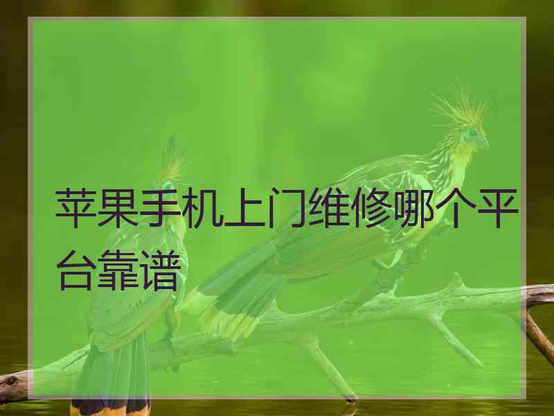 苹果手机上门维修哪个平台靠谱