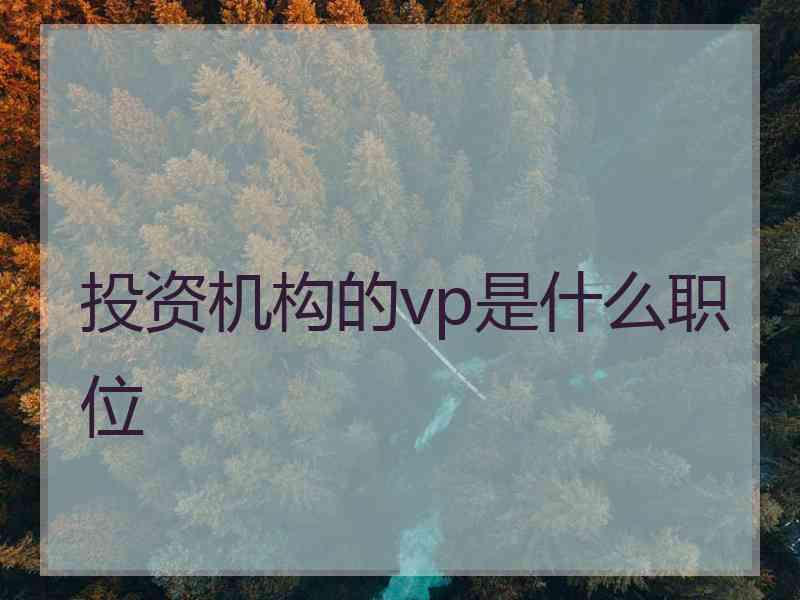 投资机构的vp是什么职位