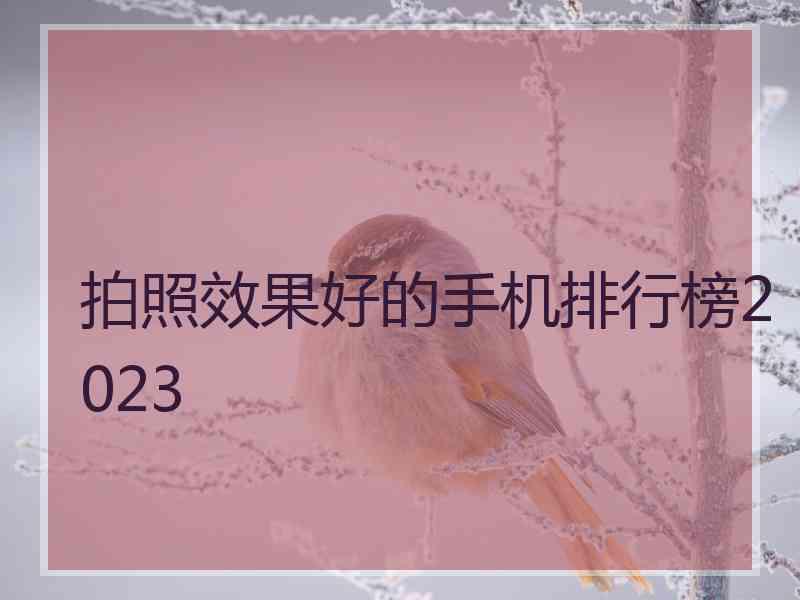 拍照效果好的手机排行榜2023