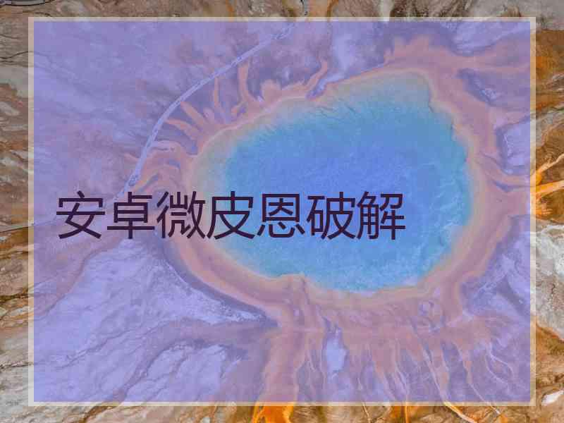 安卓微皮恩破解