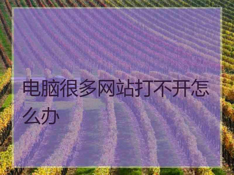 电脑很多网站打不开怎么办