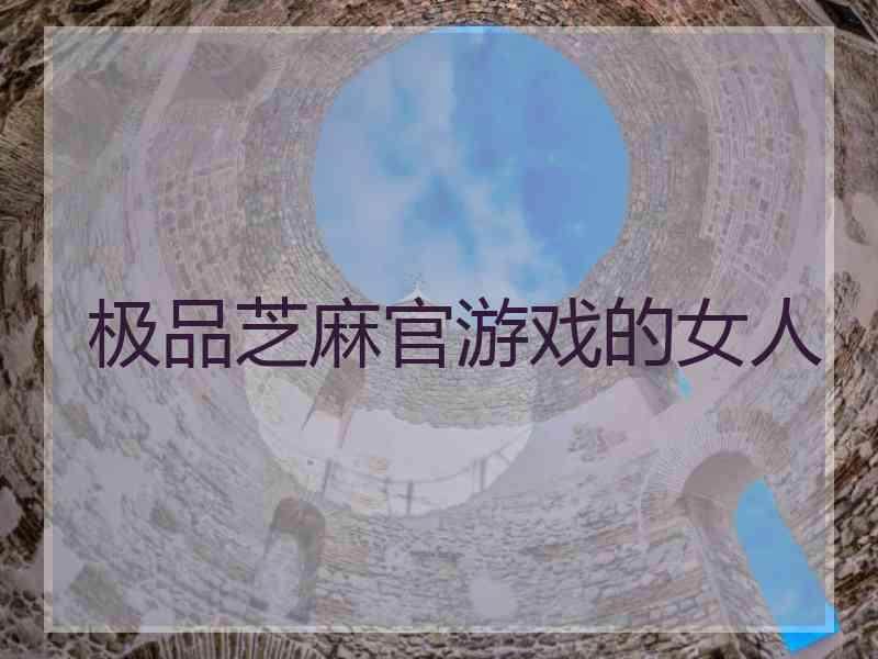 极品芝麻官游戏的女人