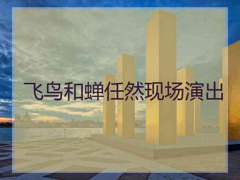 飞鸟和蝉任然现场演出