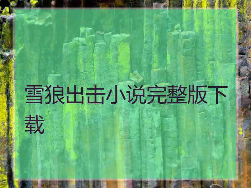 雪狼出击小说完整版下载