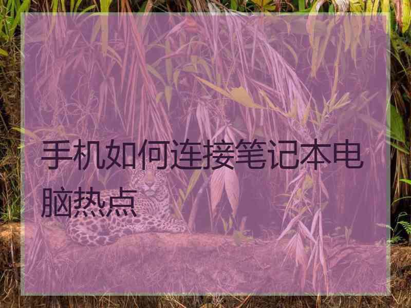 手机如何连接笔记本电脑热点