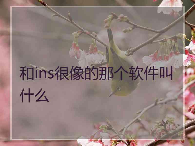 和ins很像的那个软件叫什么