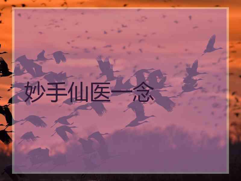 妙手仙医一念