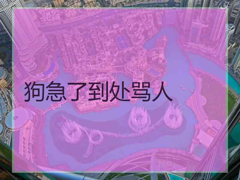 狗急了到处骂人