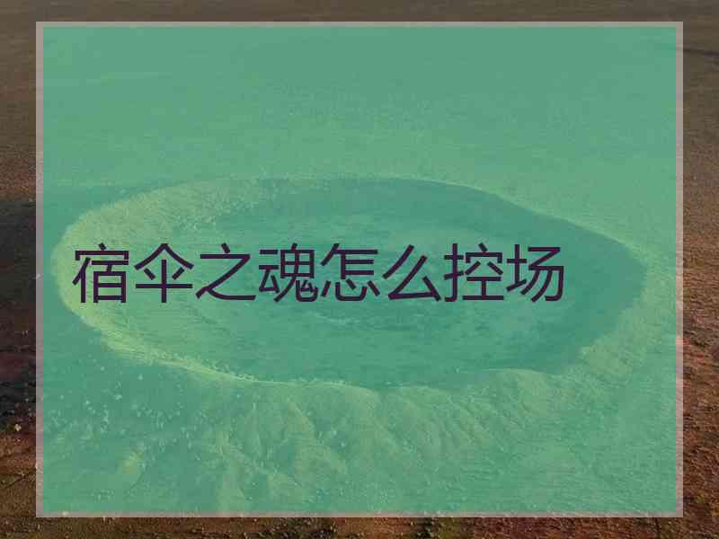 宿伞之魂怎么控场