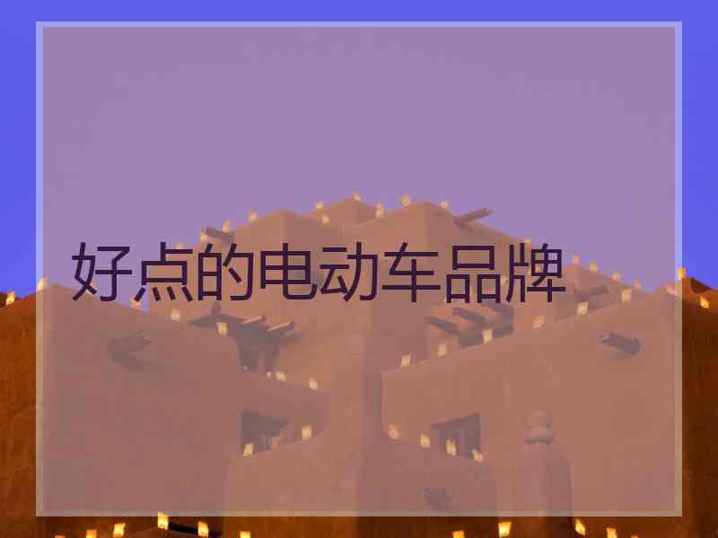 好点的电动车品牌