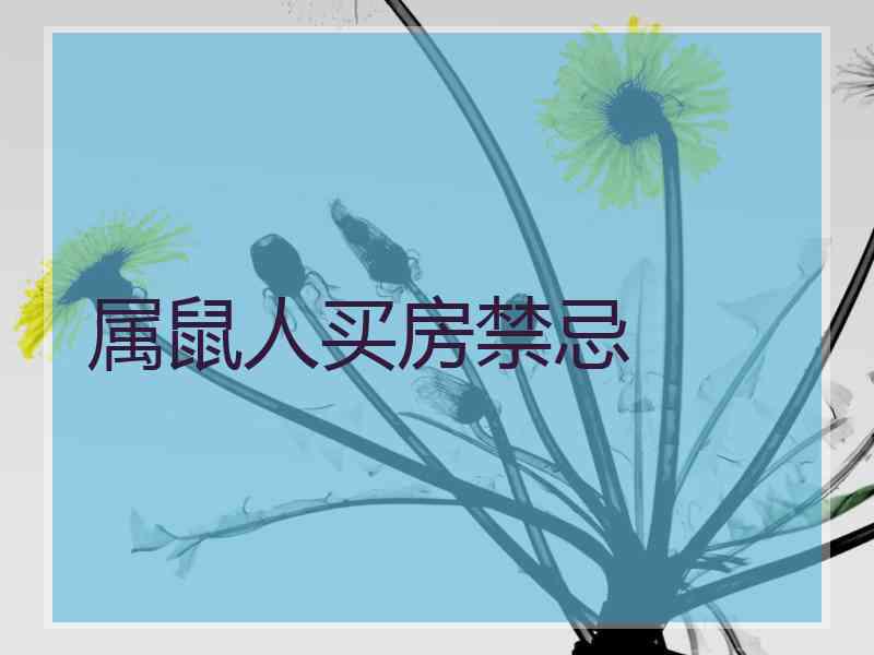 属鼠人买房禁忌