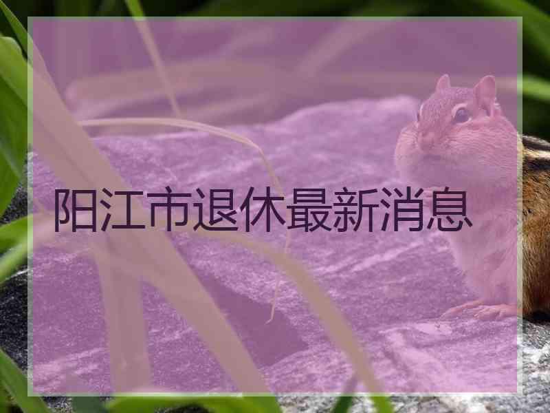 阳江市退休最新消息