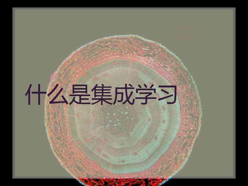 什么是集成学习