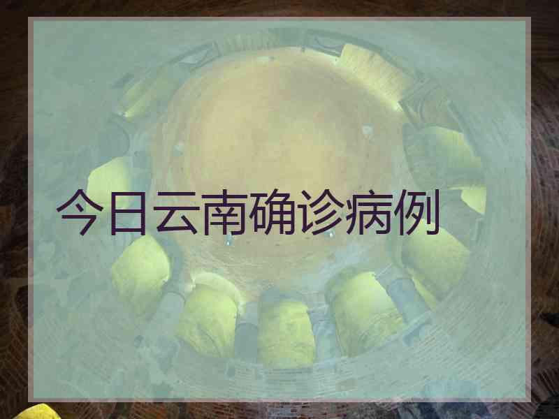 今日云南确诊病例