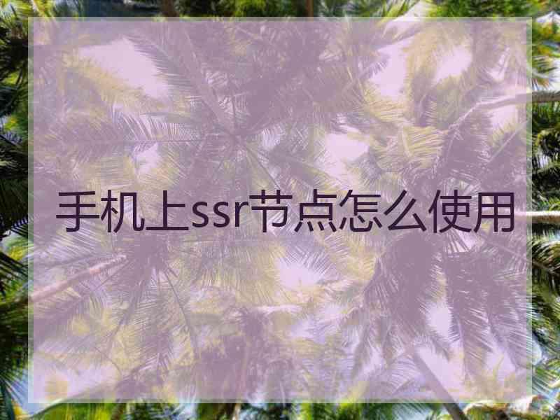 手机上ssr节点怎么使用