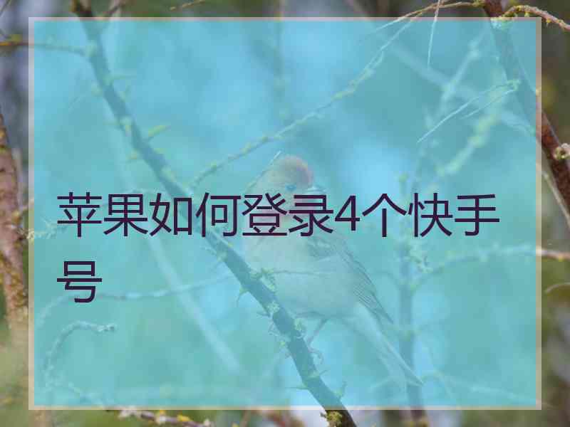 苹果如何登录4个快手号
