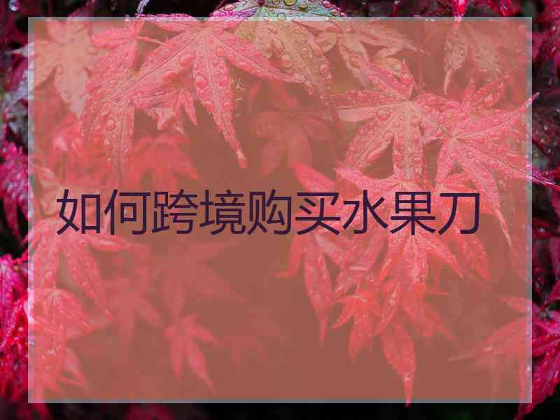 如何跨境购买水果刀