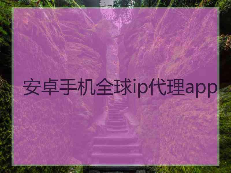 安卓手机全球ip代理app