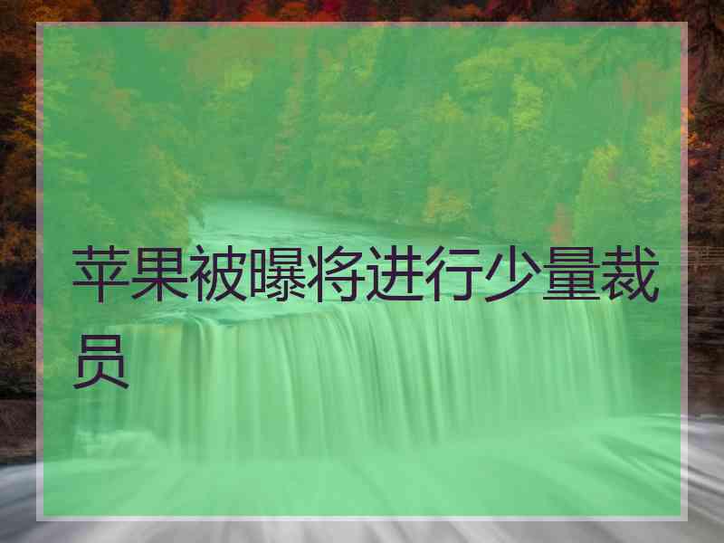 苹果被曝将进行少量裁员