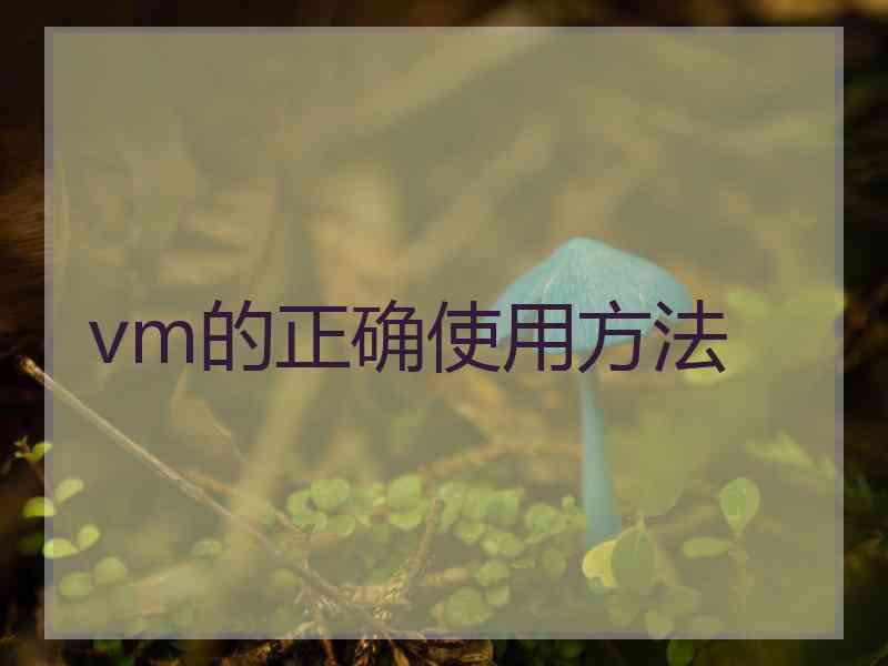 vm的正确使用方法