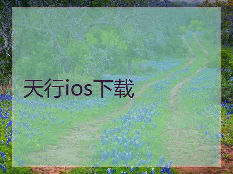 天行ios下载