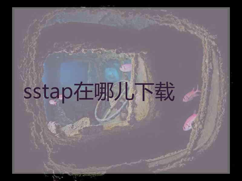 sstap在哪儿下载