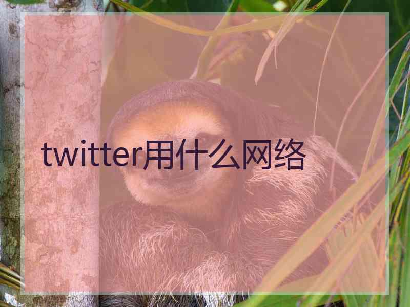twitter用什么网络