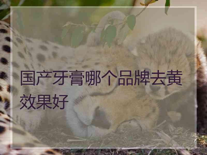 国产牙膏哪个品牌去黄效果好