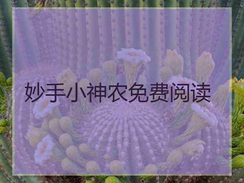 妙手小神农免费阅读