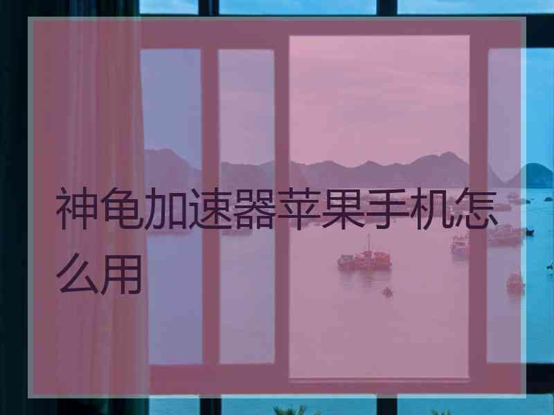 神龟加速器苹果手机怎么用