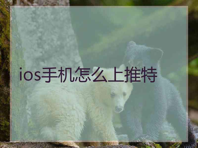 ios手机怎么上推特