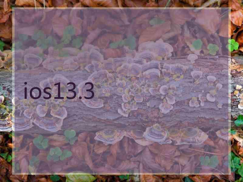 ios13.3