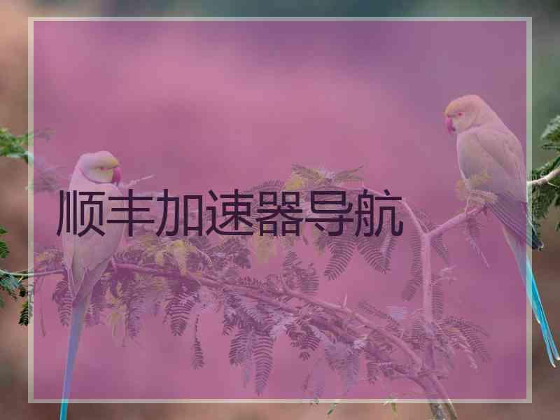 顺丰加速器导航